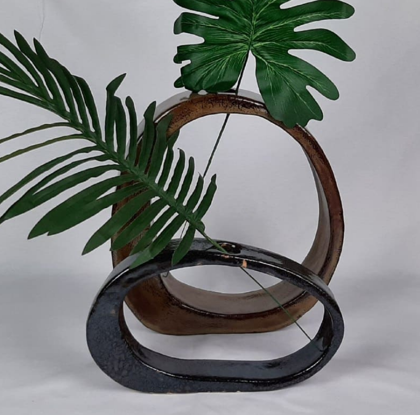 Búcaros con plantas de LolaBotijo