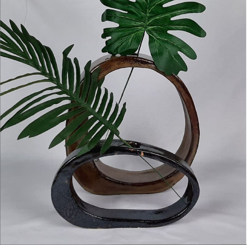 Búcaros con plantas de LolaBotijo